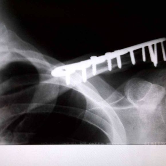 Meet your Posher, Daniel - Picture 1 of 1